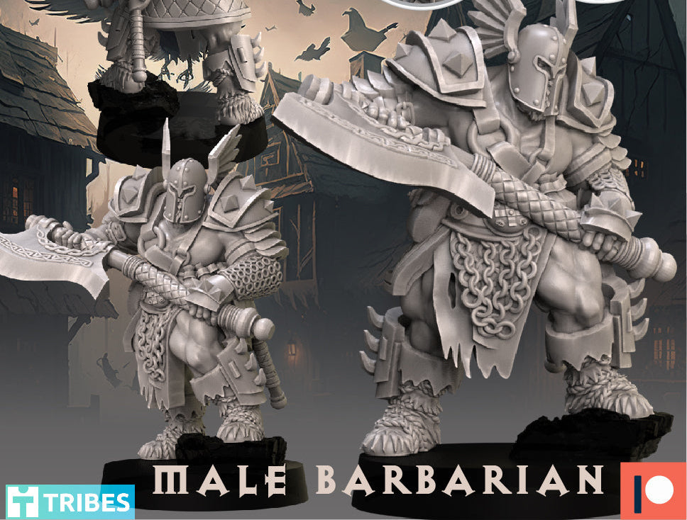 1x Male Barbarian - Across the Realms