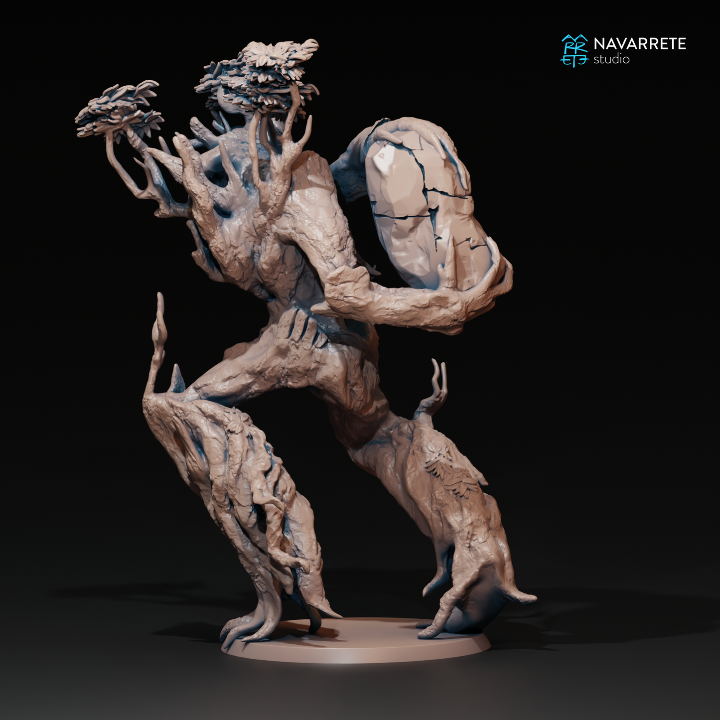 Eldroot - Navarrete Studio