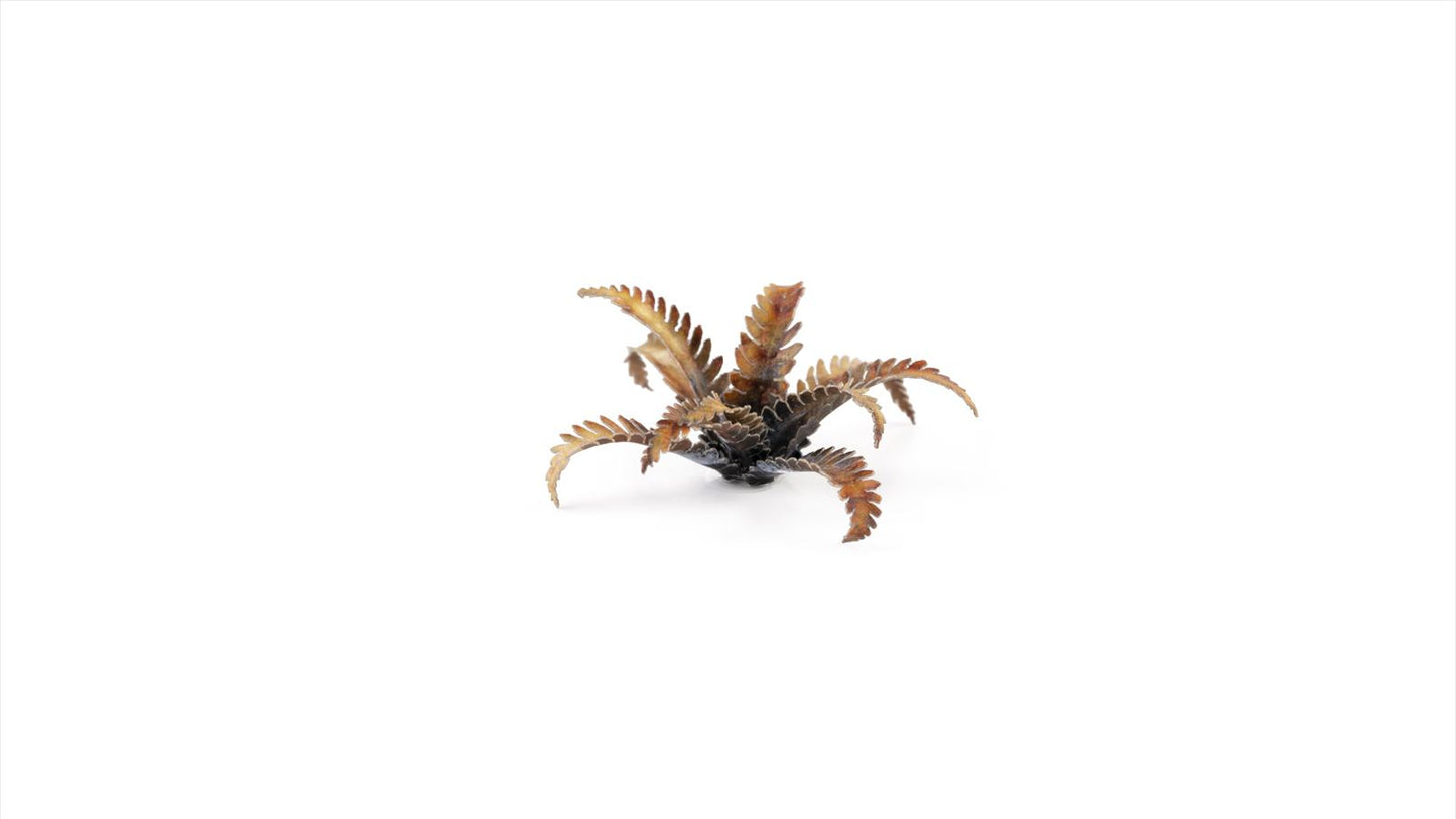 Alien Fern - Laser Plants - GamersGrass