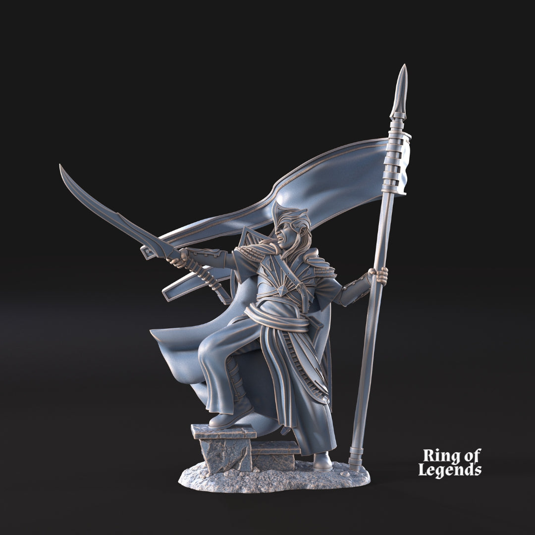 Banner of Galanthir on foot | Galanthir Elves | Ring of Legends - Davale Games