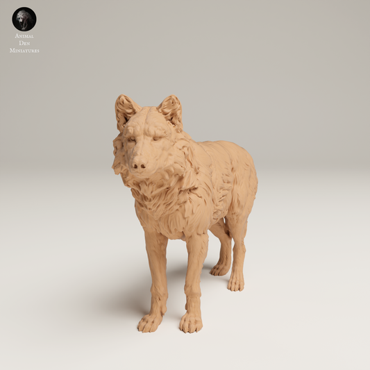 Grey Wolf  - Animal Den Miniatures