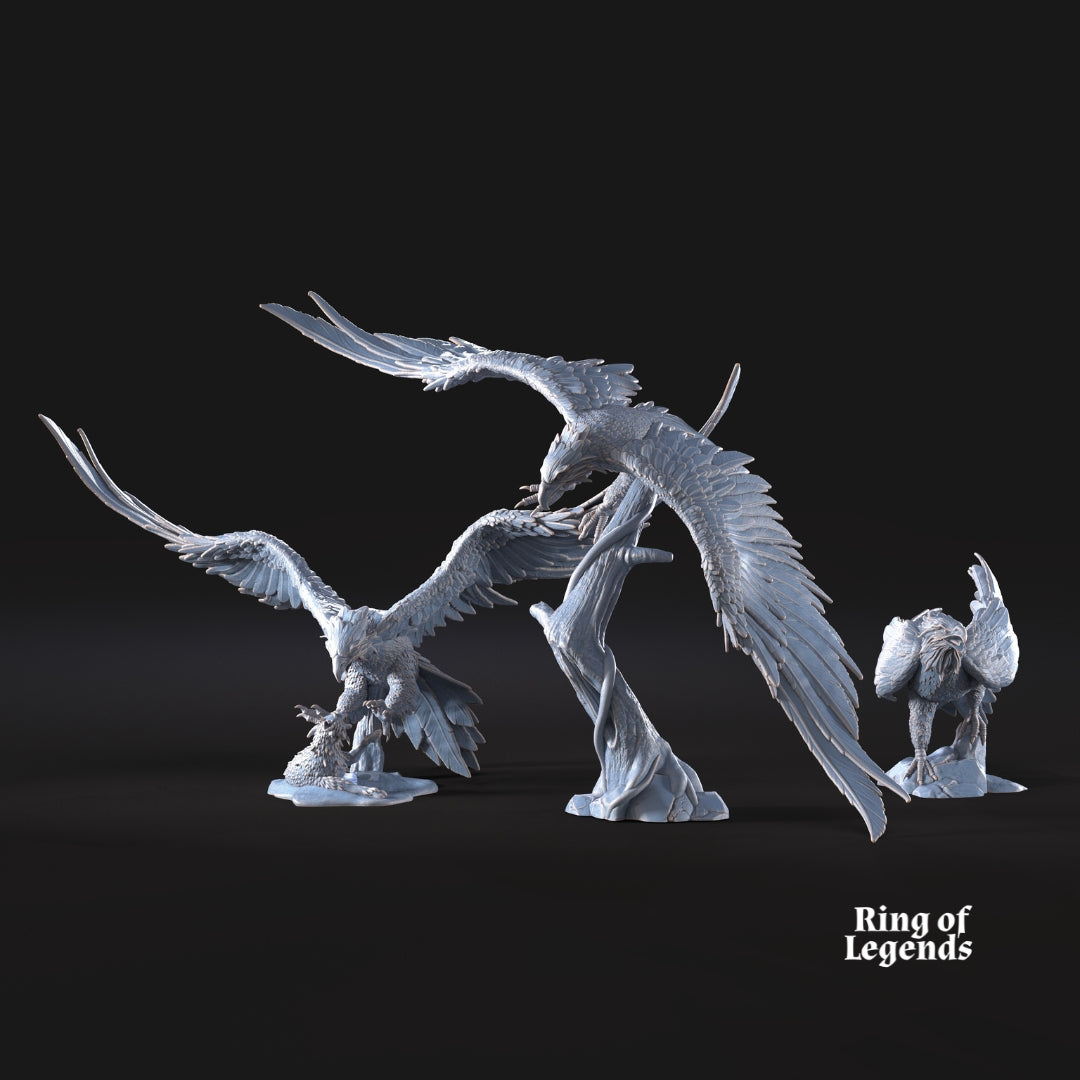 3x Eagles | Free forest | Ring of Legends - Davale Games