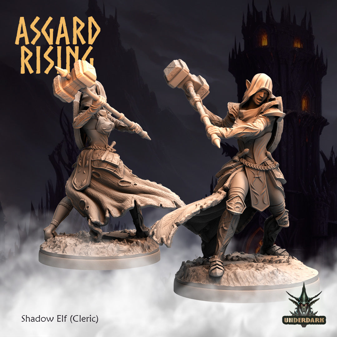 Shadow Elves - Asgard Rising