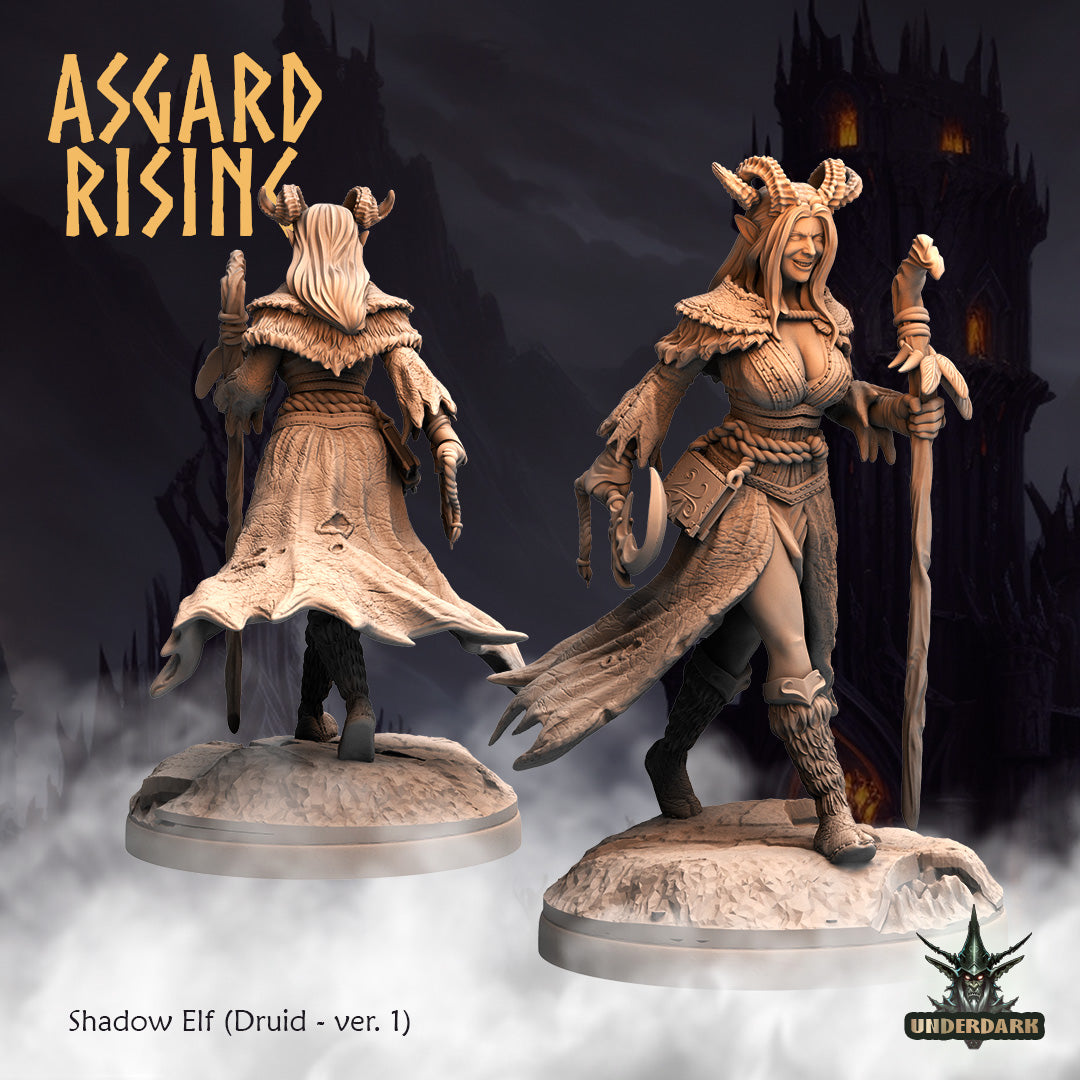 Shadow Elves - Asgard Rising