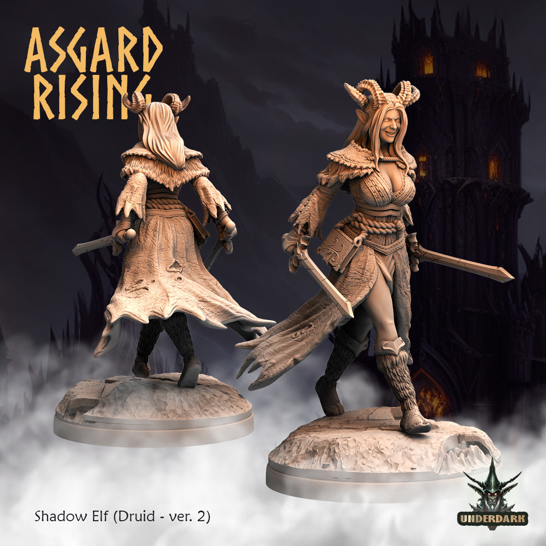 Shadow Elves - Asgard Rising