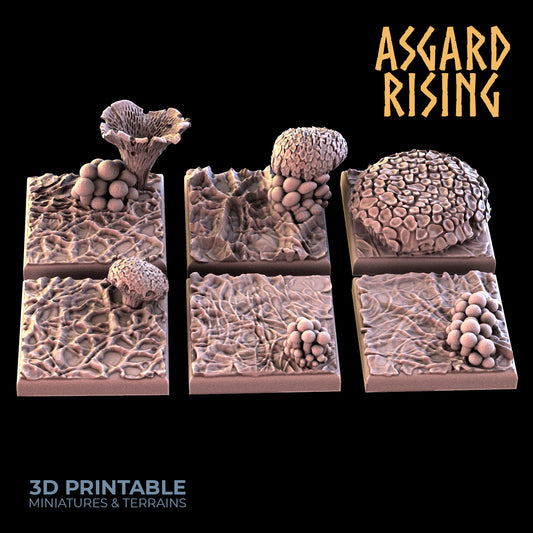 FUNGI GROUNDS 6 x quadratische Sockel 25 mm – Asgard Rising