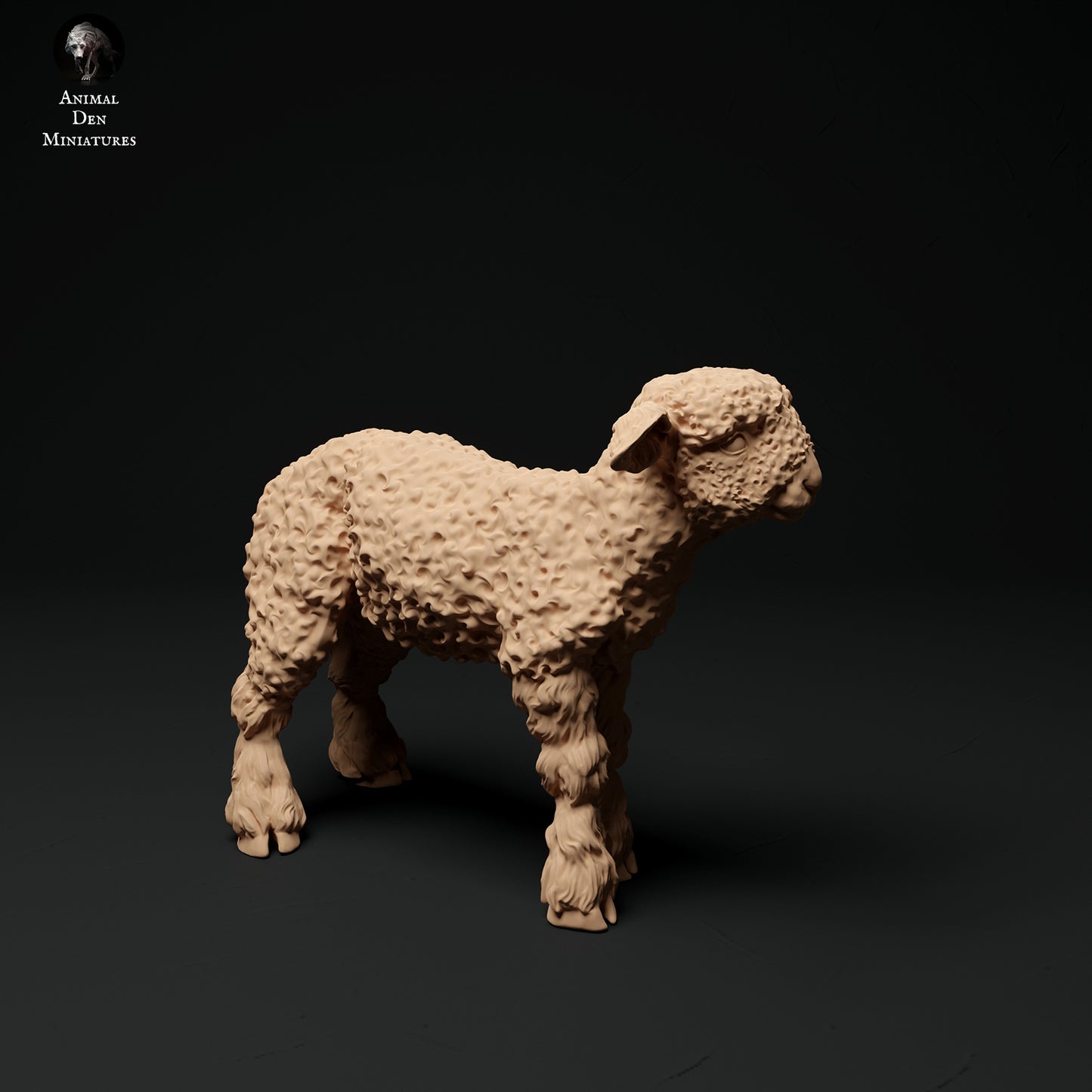 Langwolllämmer aus Devon und Cornwall - Animal Den Miniatures