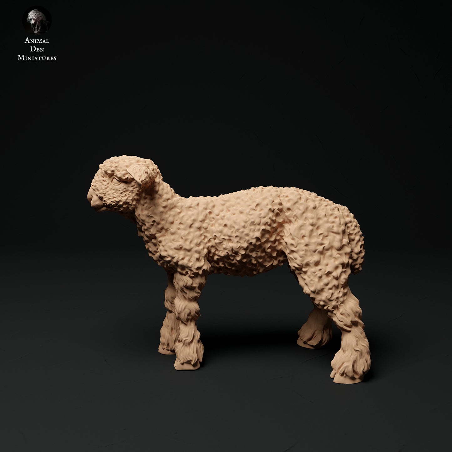 Langwolllämmer aus Devon und Cornwall - Animal Den Miniatures