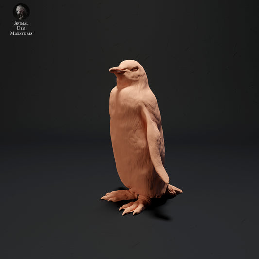 Eselspinguin - Animal Den Miniatures