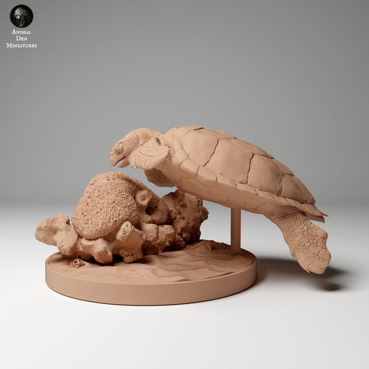 Futter für Karettschildkröten - Animal Den Miniatures