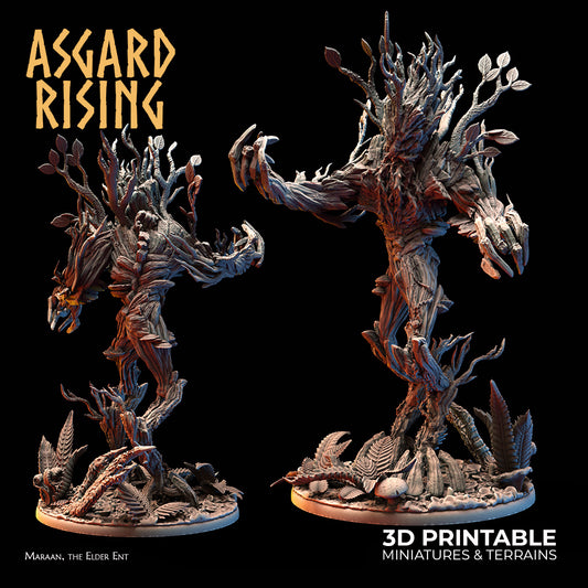 Maraan der Ältere Ent - Asgard Rising