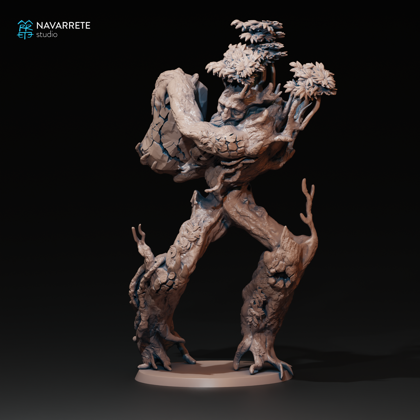 Eldroot - Navarrete Studio