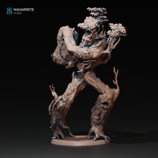 Eldroot - Navarrete Studio