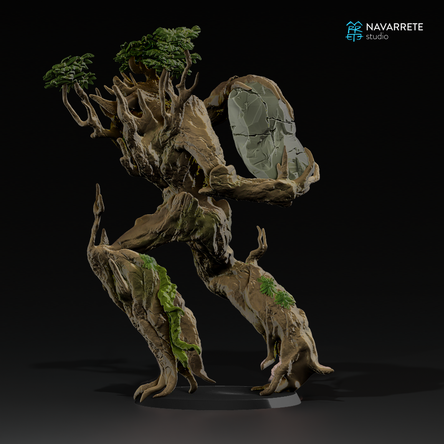 Eldroot - Navarrete Studio