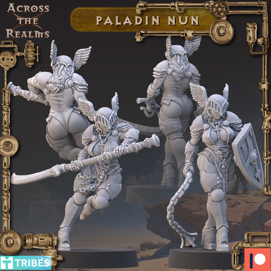 2x Paladin Nun - Across the Realms