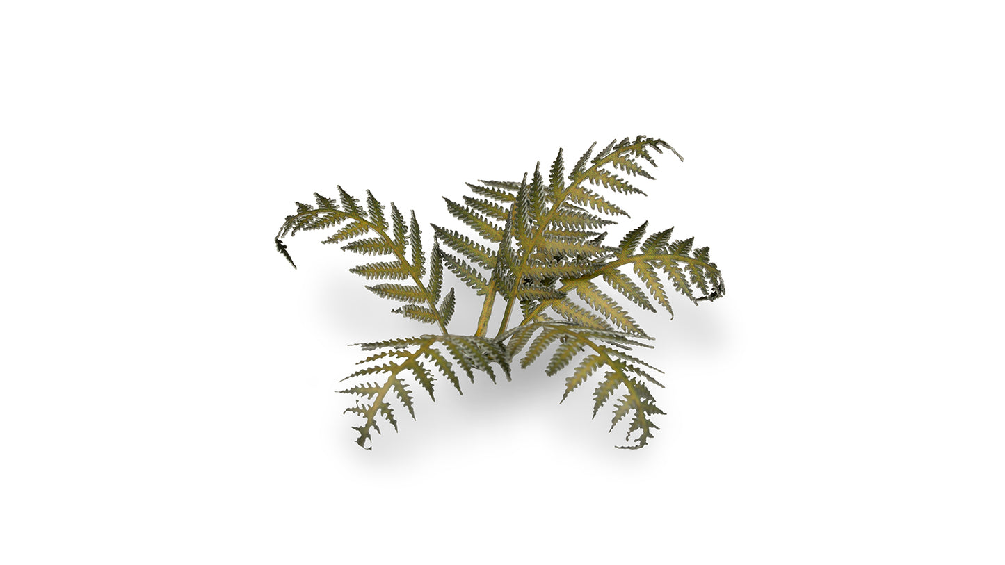 Bracken - Laser Plants - GamersGrass