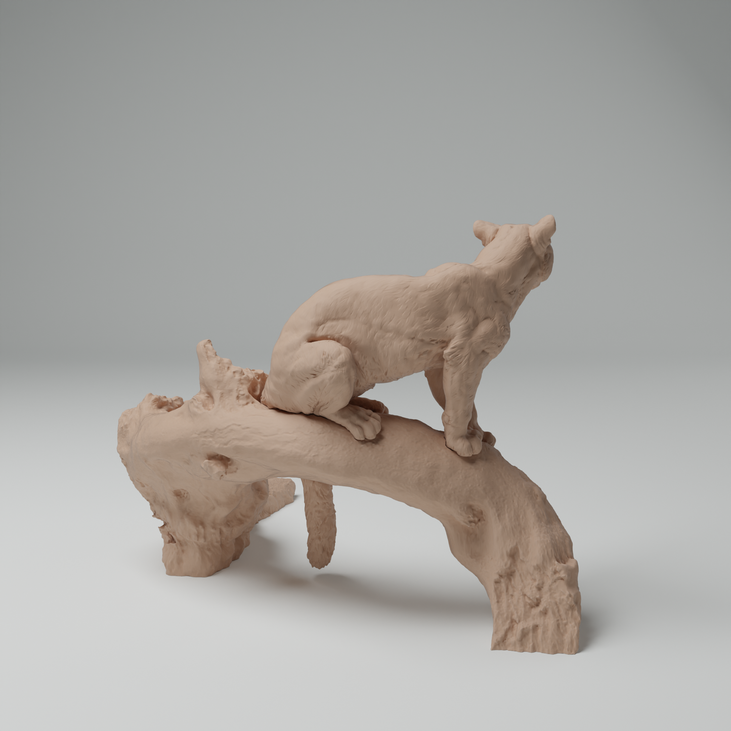 Clouded Leopard Tree - Animal Den Miniatures