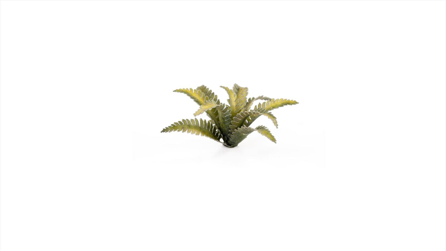 Deer Fern - Laser Plants - GamersGrass