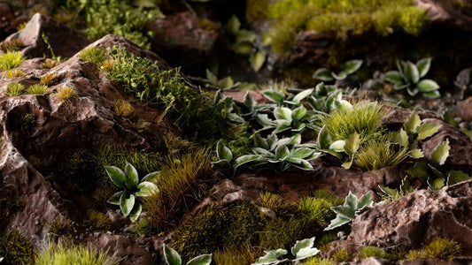 Plantain Lily - Laser Plants - GamersGrass