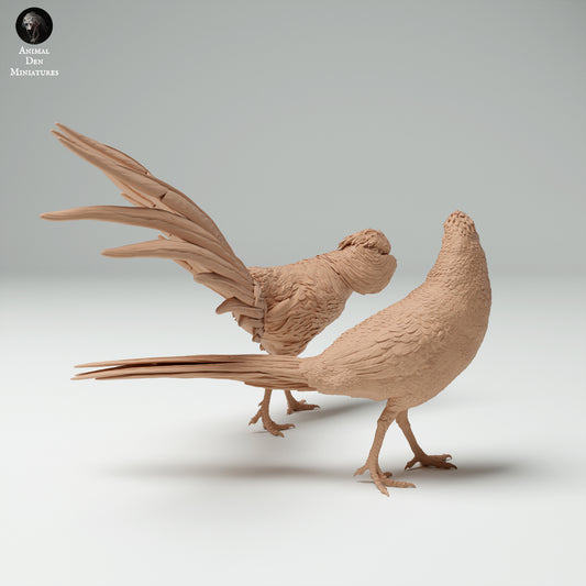 Golden Pheasants Walking - Animal Den Miniatures