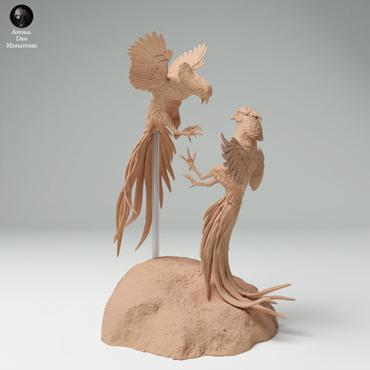 Golden Pheasants Fighting - Animal Den Miniatures