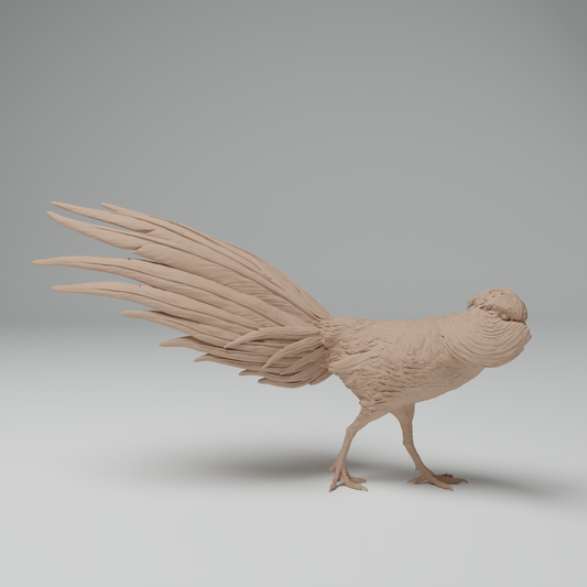 Golden Pheasant Male - Animal Den Miniatures