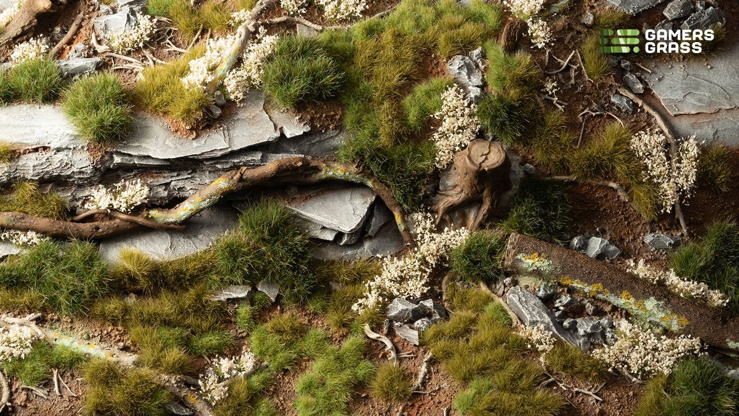 Green Grass Tuft Starter Box - GamersGrass