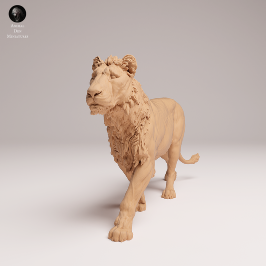Lion Subadult 1  - Animal Den Miniatures
